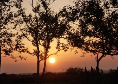 Cambria Sunset, Gwen Ginocchio