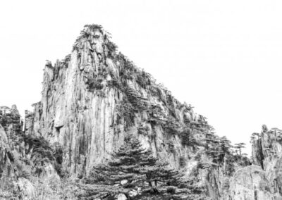 Immortal Yellow Mountain, Violet Shen