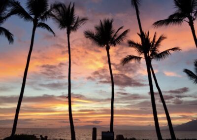Maui Moment, Gwen Ginocchio