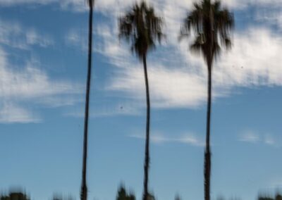 Towering Overhead, Mary Madden