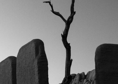 End of an Era, Kamran Ghassemi