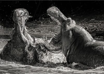 Deadly Chaos, Ken Furuta