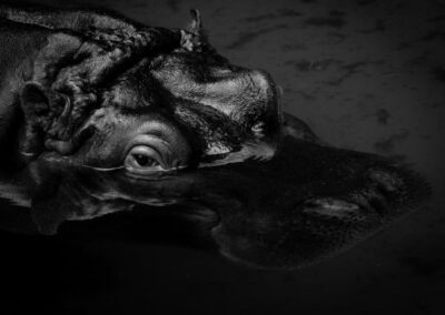 Got a Eye on You, Russ Lazar