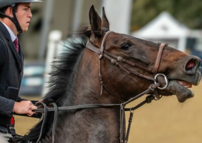 Ready for Jump, Daniel Lee