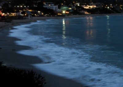 Curvy Surf, Judy Rossi