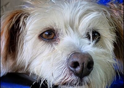 Best Friend, Mike Bray