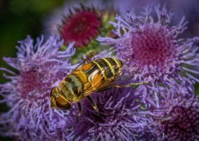 Working for My Honey, Louise Stuart