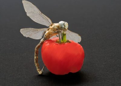 Dragon Fly on Small Pepper, Mark Brenner