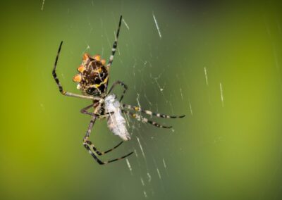 Got Dinner, Russ Lazar