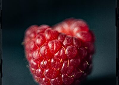 Raspberry, Tom Conrad
