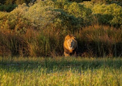 Watery Walk to Mate, Louise Stuart