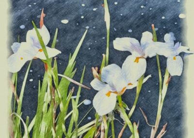 White Wildflowers At The Shore, Myra Posner