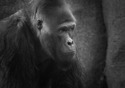 My Name is Paul, Russ Lazar