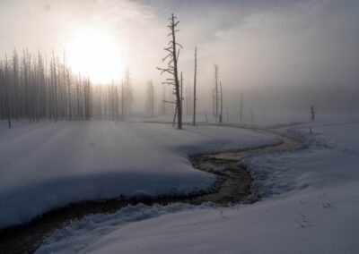 Yellowstone Sunrise, Mary Madden
