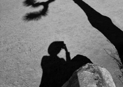 Joshua & I, Kamran Ghassemi