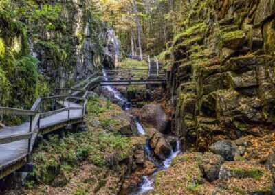 The Gorge, Michel Kaizoji