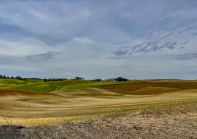 Palouse Canvas, Kamran Ghassemi