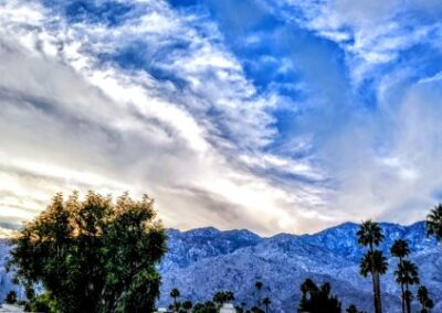 4pm, Palm Springs, Joel Goldstein