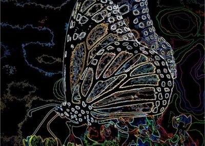 Monarch, Mike Bray