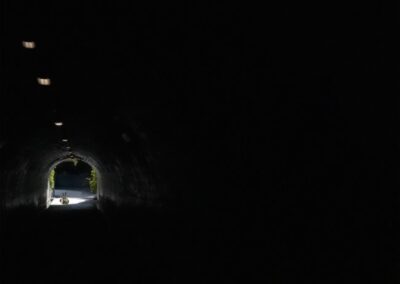 Rabbit Hole, Pat Patti