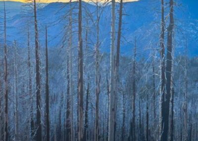 Beauty From Ashes, Diane Hall