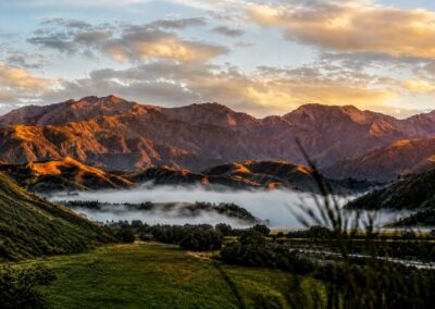 New Zealand dawn, Joel Goldstein
