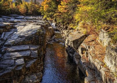 Fall Beauty, Michael Kaizoji