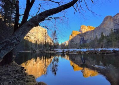 Nature's Mirror, Diane Hall