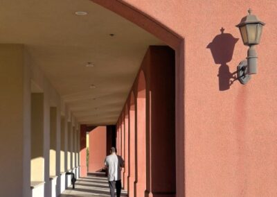 Sunny Contrasts, Esther Spektor